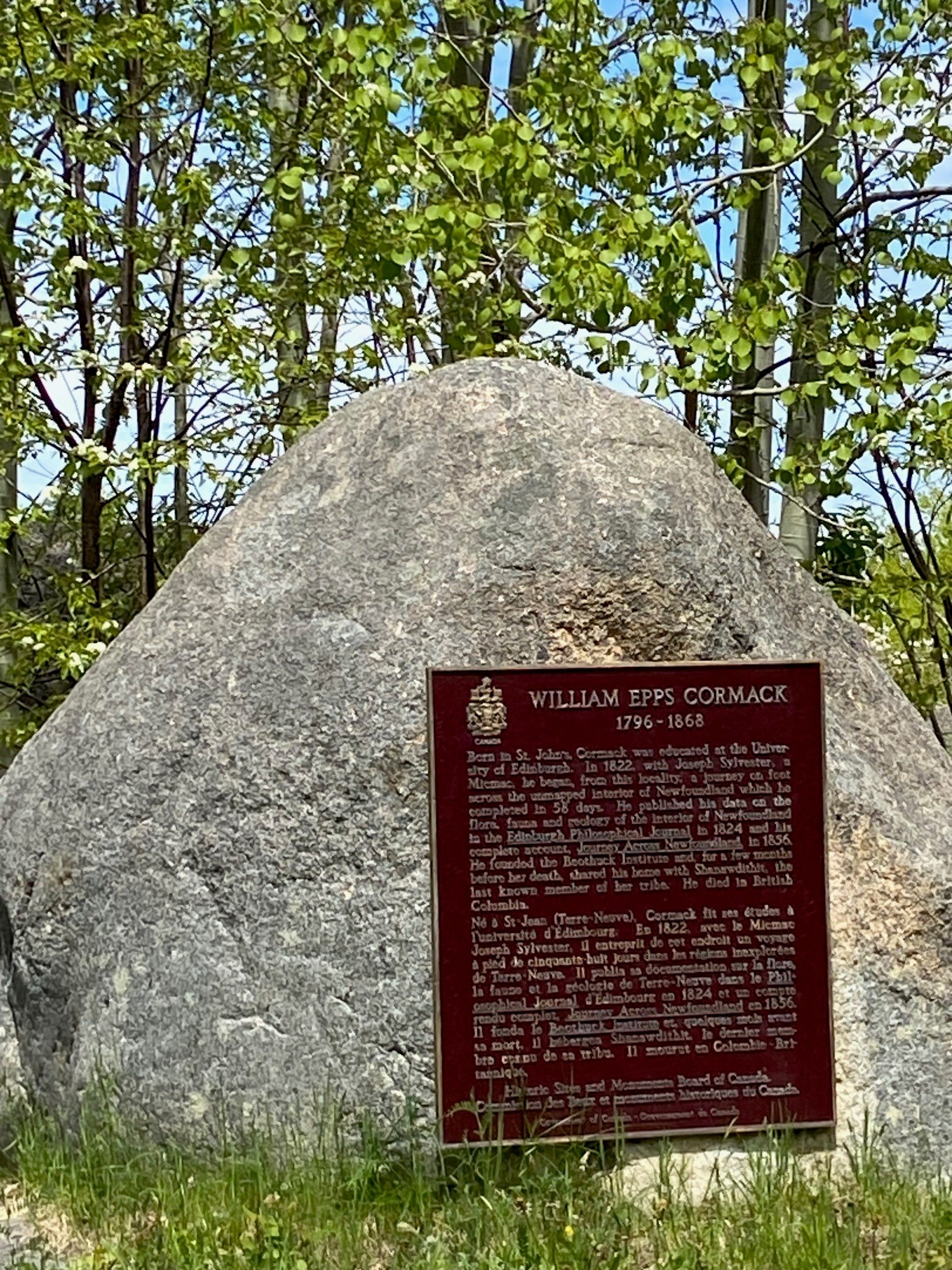 plaque